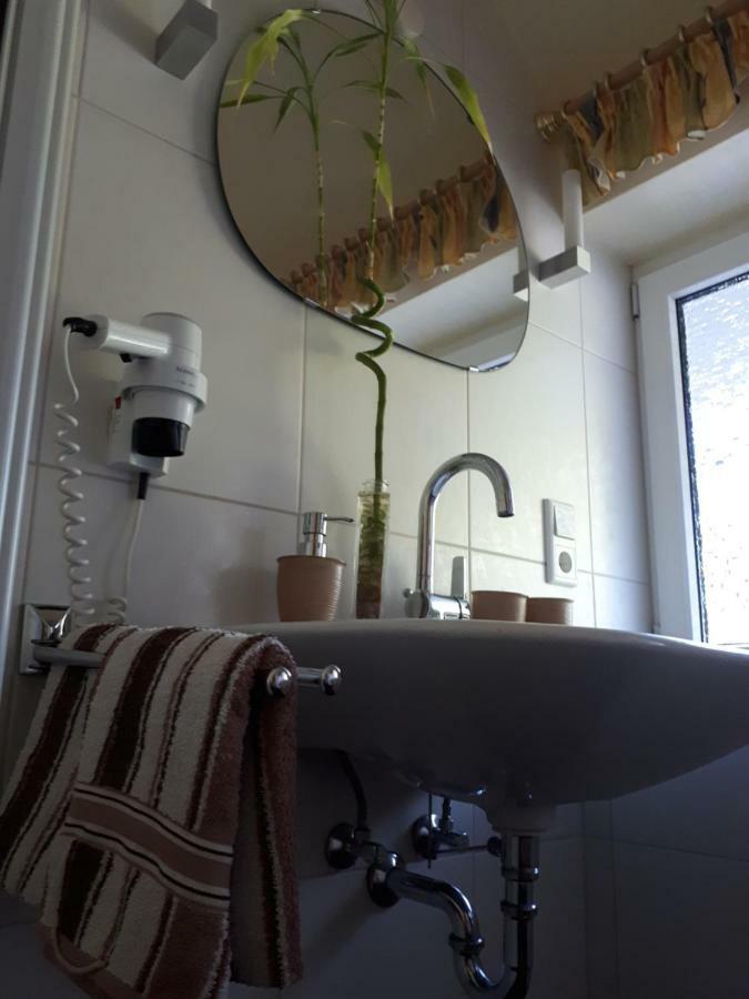 Apartmenthaus Sonnenschein Winterberg Eksteriør billede